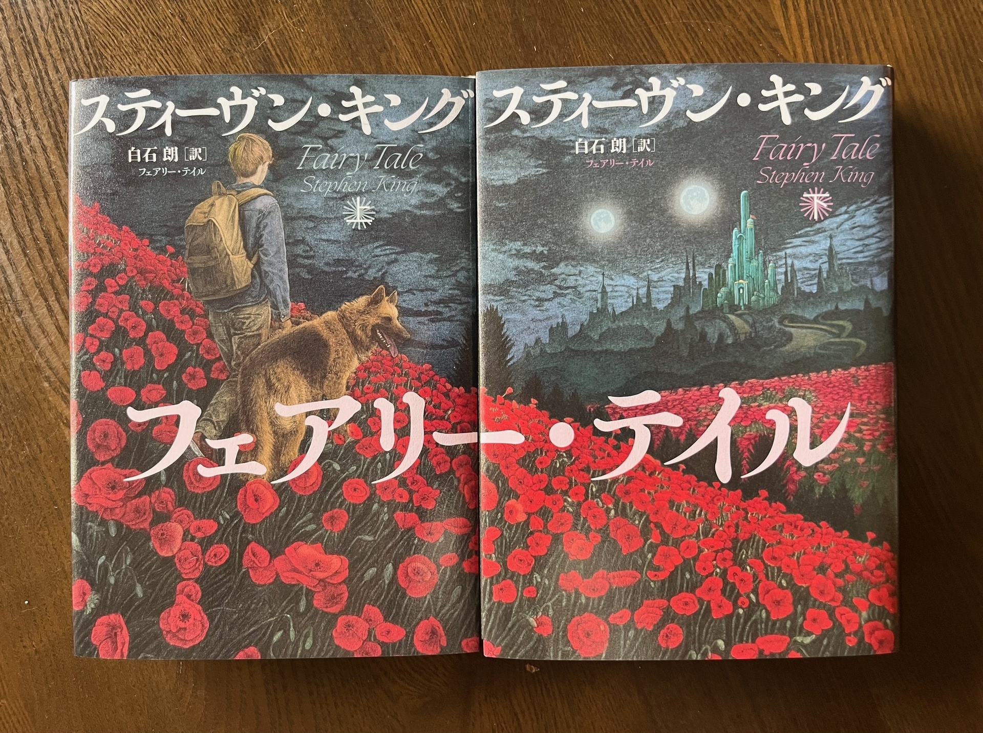 フェアリー・テイル: Shinsaku Fujita Private View